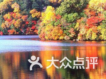 14年宝来能加98号汽油吗？游戏画面